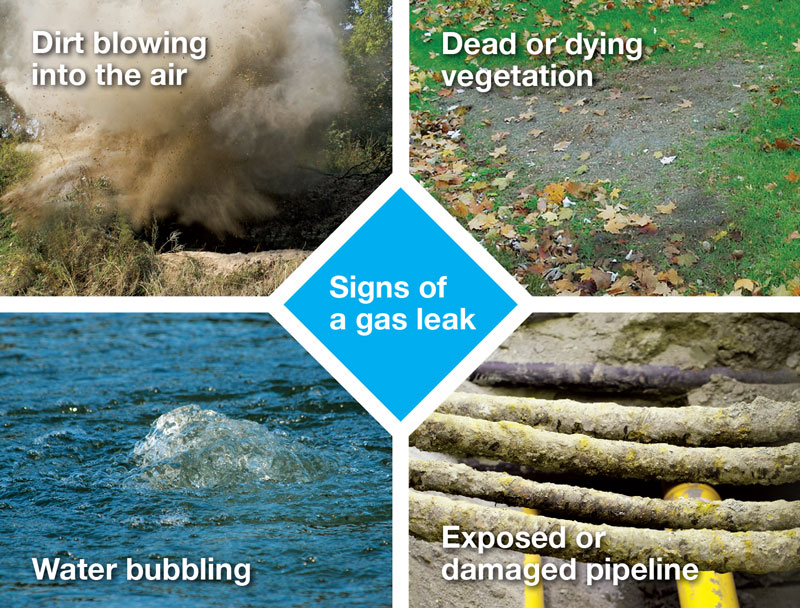 Signs of a gas leak: Dirt blowing into the air, dead or dying vegetation, water bubbling, exposed or damaged pipeline